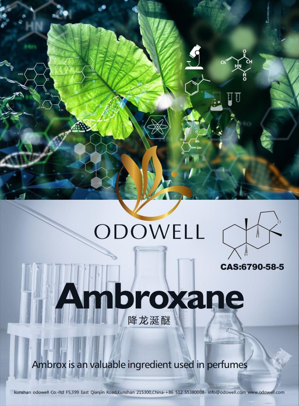 Odowell은 Ambroxane (Ambrox)의 성공적인 해를 축하합니다.