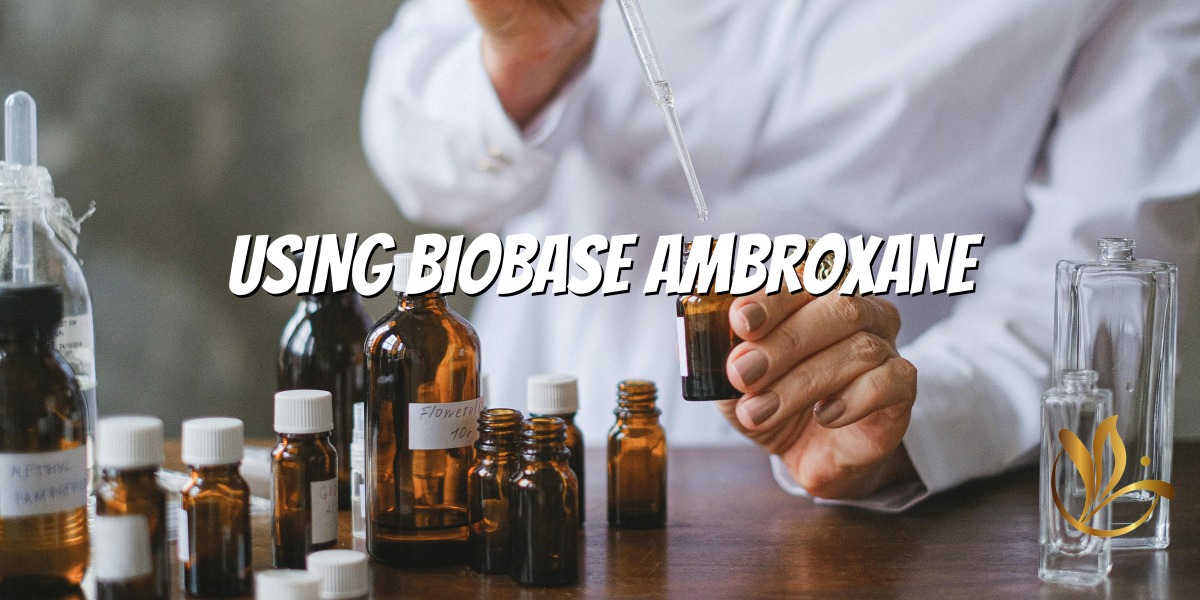 MASTORMING AMBROX - 시대를 초월한 향수 가이드