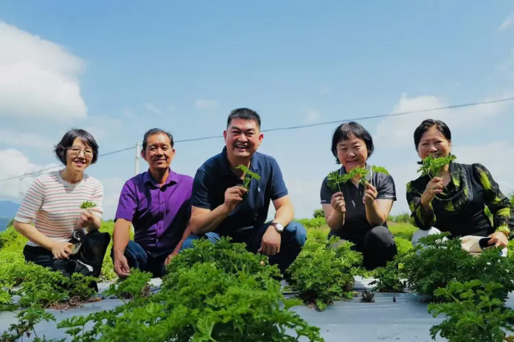 2025 년 8 월 Odowell의 Yunnan Research and Study Tour