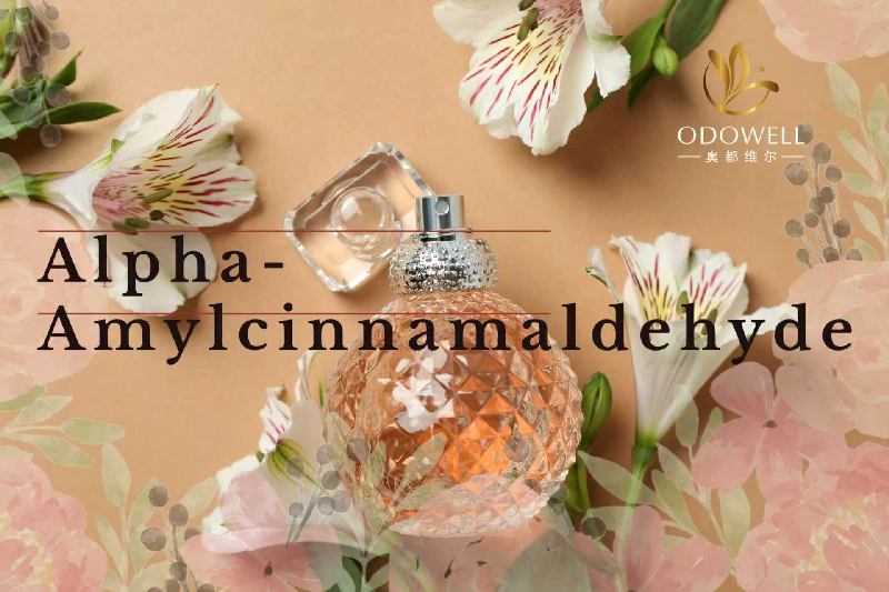 Odowell은 프리미엄 Alpha-Amylcinnamaldehyde를 자랑스럽게 출시하여 향수 및 개인 관리 혁신을 높입니다.