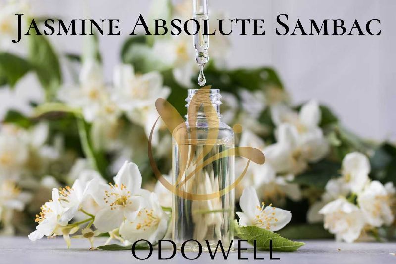 ODOWELL, 향수와 미용을 위한 프리미엄 천연 자스민 앱솔루트 삼박(Jasmine Absolute Sambac) 출시