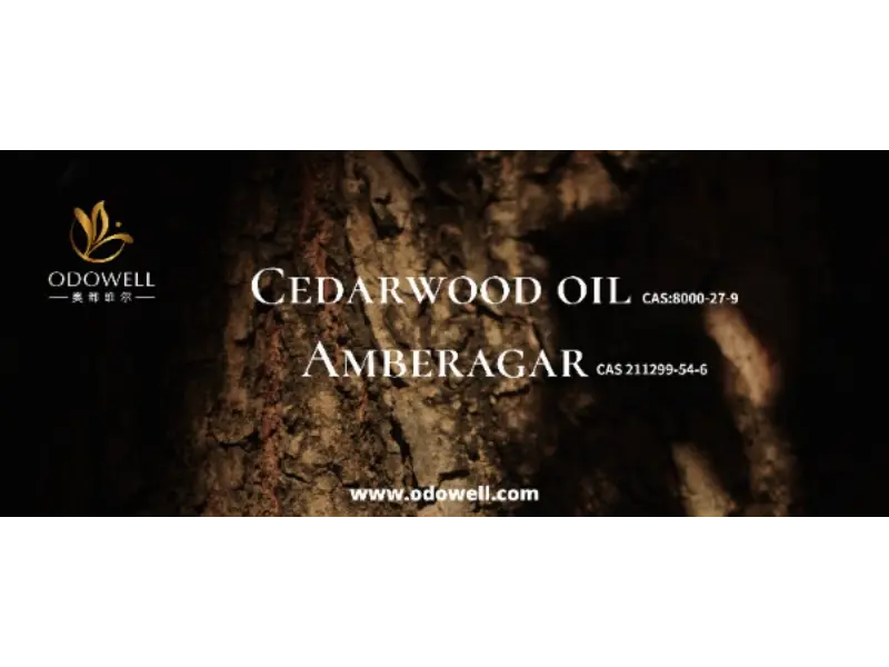 당신의 시그니처 향은 정말로 독특합니까?