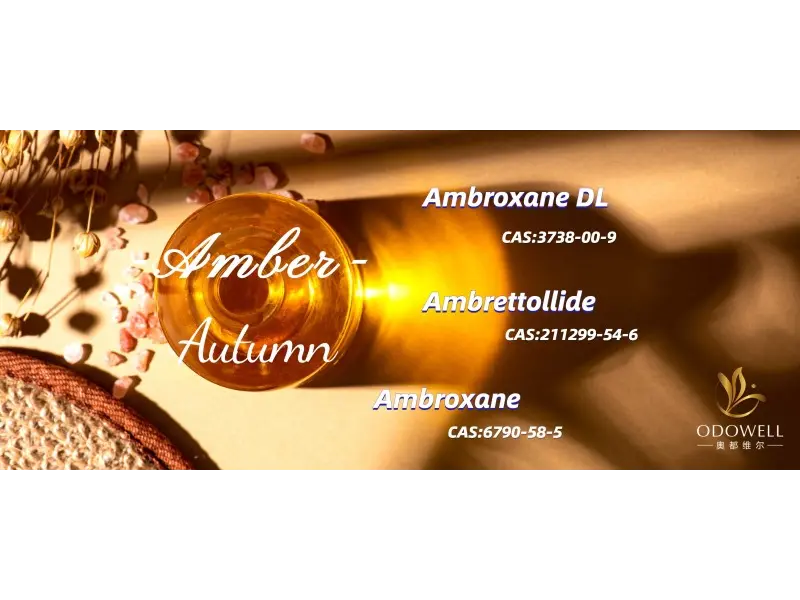 2025년 최고의 성 중립 향은 무엇인가요?