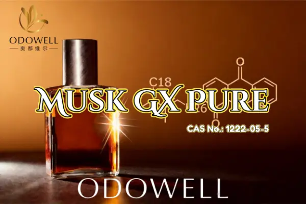 ODOWELL은 깨끗하고 오래 지속되는 머스크 용도로 Musk GX Pure를 권장합니다.