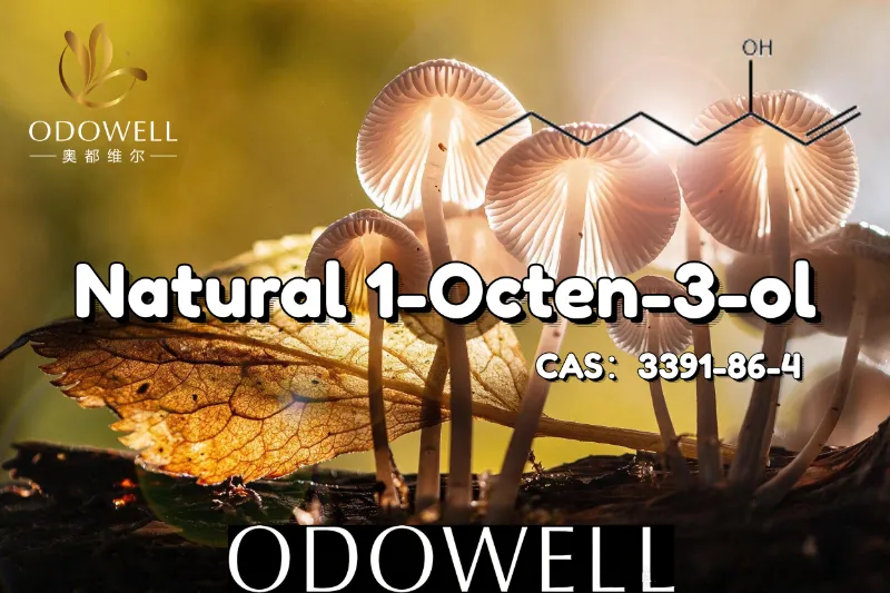 ODOWELL은 버섯 같은 맛과 소박한 맛 응용 분야에 천연 1-Octen-3-ol을 권장합니다.