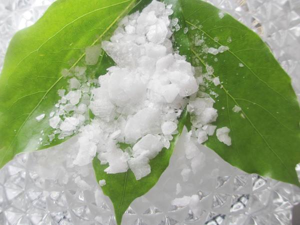 보르네올 플레이크 합성